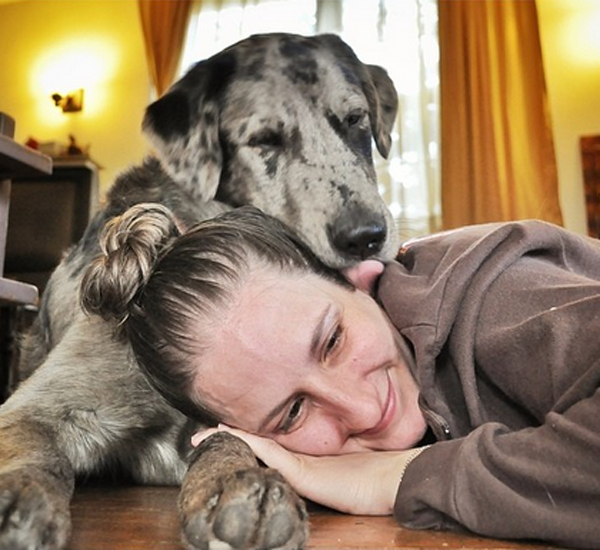5 razoes pelas quais os cachorros sao otimos para a saude humana pdd1