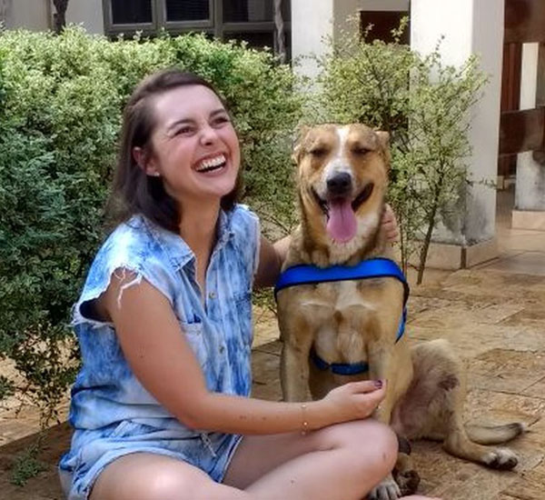 Após invadir casamento e deitar no véu da noiva, cão é adotado pelos recém-casados 3 apos invadir casamento e deitar no veu da noiva cao e adotado pelos recem casados pdd2