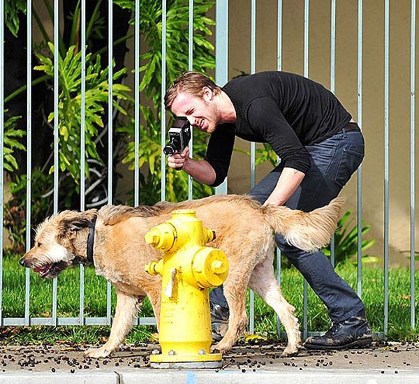 Ryan Gosling fala pela primeira vez sobre a morte de seu amado cachorro 1 ryan gosling fala pela primeira vez sobre a morte de seu amado cachorro pdd3