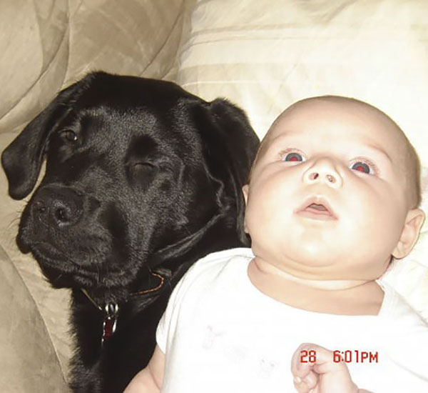 Menina e cachorro crescem juntos e constroem uma amizade incrível 1 menina e cachorro crescem juntos constroem uma amizade incrivel pdd1