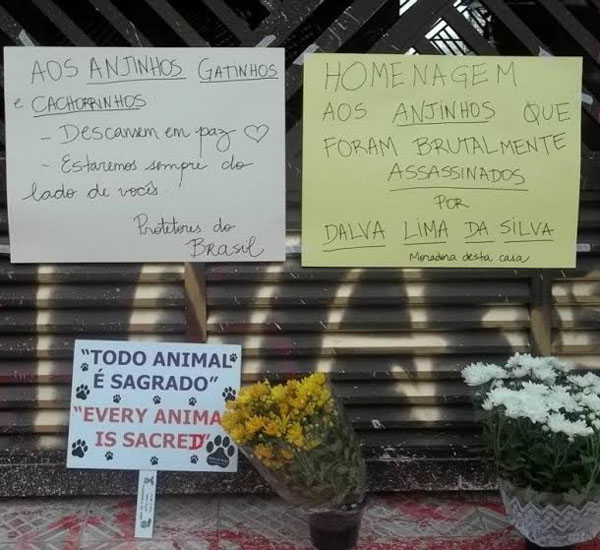 Mulher que matou 37 animais é condenada a mais de 17 anos de prisão 2 mulher que matou 37 animais e condenada a mais de 17 anos de prisao pdd2