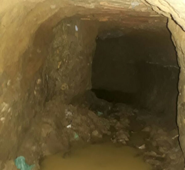 No Pará, cachorro descobre túnel e evita fuga de presidiários 2 no para cachorro encontra tunel e evita fuga de presidiarios pdd2