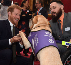 O encontro entre o príncipe Harry e o cachorro Cooper foi muito animado. (Foto: Reprodução / TMZ / MEGA)