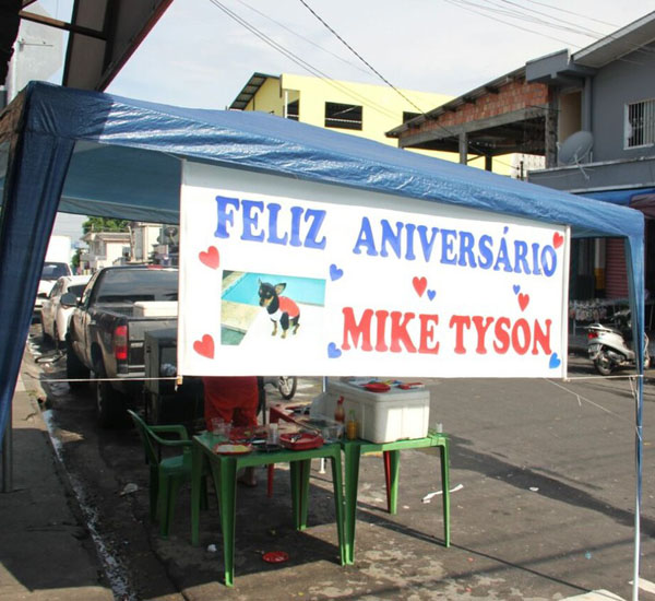 Tutor faz festão de aniversário para cachorro e gasta quase R$ 3 mil 1 tutor faz festao de aniversario para cachorro e gasta quase r 3 mil pdd3