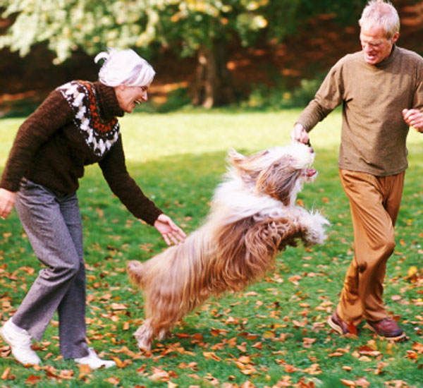 5 formas como os cães podem ajudar pessoas com depressão 2 5 formas como os caes podem ajudar pessoas com depressao pdd2