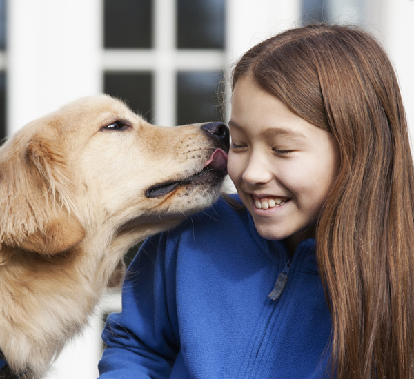 5 formas como os cães podem ajudar pessoas com depressão 4 5 formas como os caes podem ajudar pessoas com depressao pdd4
