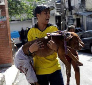 Tutor se desespera ao ver seu cachorro machucado e sangrando depois de ser atingido por uma bala perdida. (Foto: Reprodução / Ricardo Moraes / Reuters)