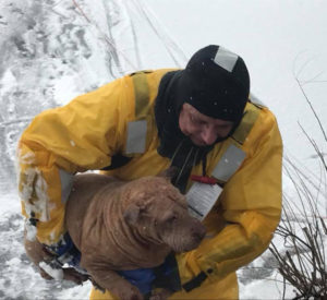 Após o resgate, a cadela foi entregue para os tutores. (Foto: Reprodução / Facebook Oaklyn Fire Department)