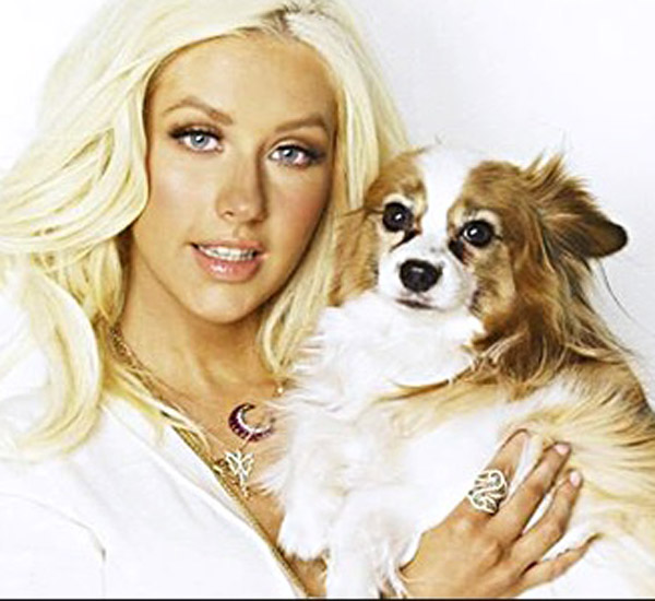 Christina Aguilera se despede de seu cachorro depois de 17 anos juntos 1 christina aguilera se despede de seu cachorro depois de 17 anos juntos pdd1