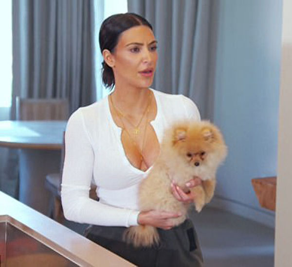 kim kardashian pede ajuda a treinador famoso para acalmar o seu pequeno caozinho sushi pdd1
