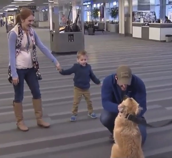Soldado se reúne com cadelinha que conheceu quando estava em serviço no Oriente Médio 3 soldado se reune com cadelinha que conheceu enquanto estava em servico no oriente medio pdd3