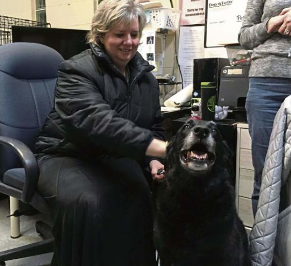 Após 10 anos desaparecida, cadela volta para a casa de sua família 2 apos 10 anos desaparecida cadela volta para a casa de sua familia pdd2