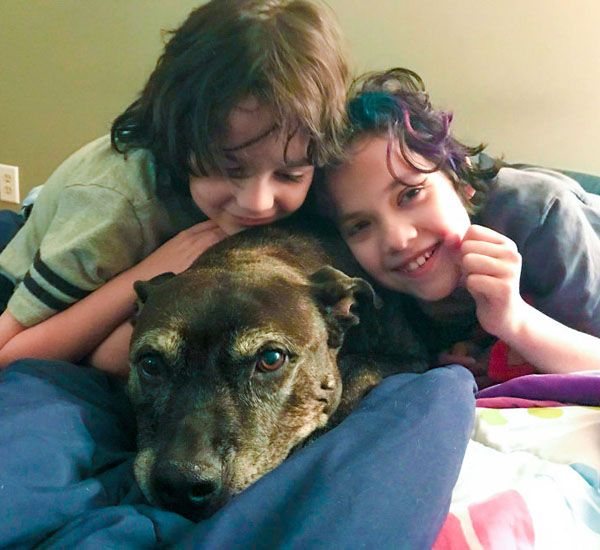 cadela de 11 anos e com cancer ajuda abrigo ao ser adotada pdd2