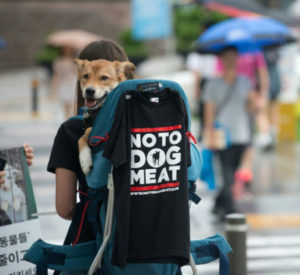 Ativistas fizeram protestos e intensificaram campanhas para acabar com o consumo de carne de cachorro.(Foto: Reprodução / AFP / Arquivos)