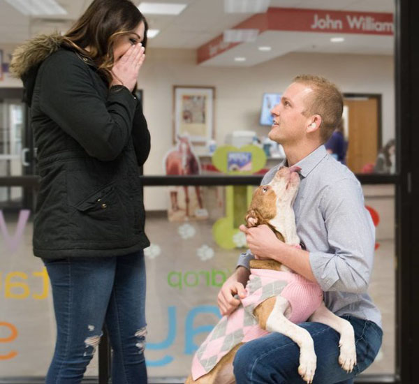 Cadelinha de abrigo ajuda em pedido de casamento e é adotada pelo casal 3 cadelinha de abrigo ajuda em pedido de casamento e e adotada pelo casal pdd3