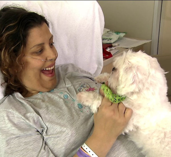 Lei libera visita de animais de estimação em hospitais municipais de São Paulo 2 lei libera visita de animais de estimacao em hospitais municipais de sao paulo pdd2