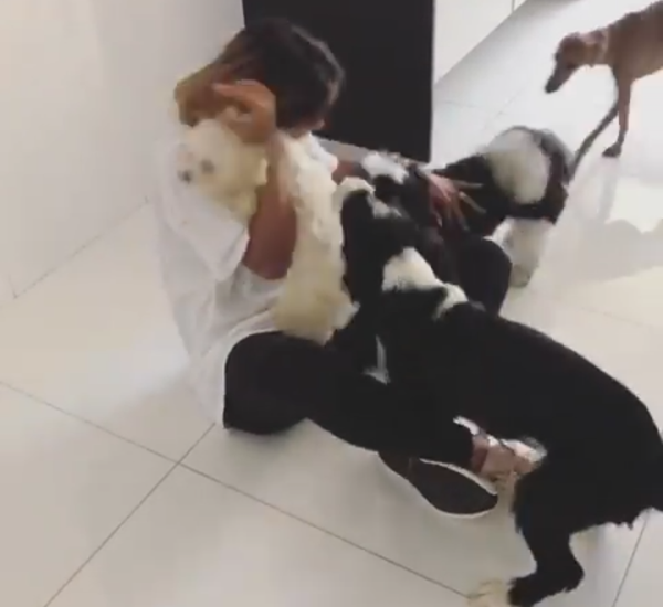 ao chegar de viagem anitta ganha recepcao cheia de amor de seus peludos pdd1