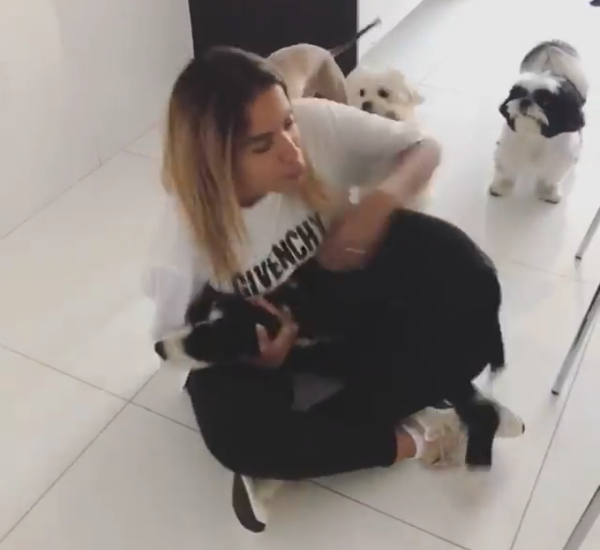 ao chegar de viagem anitta ganha recepcao cheia de amor de seus peludos pdd2