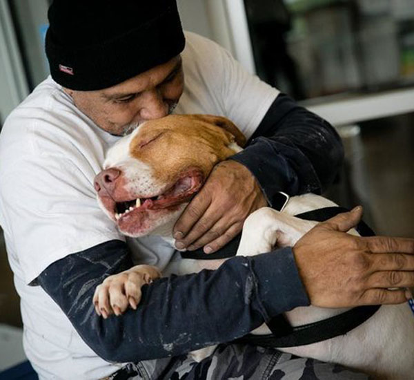 Após ser forçado a deixar cachorro em abrigo, homem promete voltar para buscar amado peludo 3 apos ser forcado deixar cachorro em abrigo homem promete voltar para buscar amado peludo pdd2