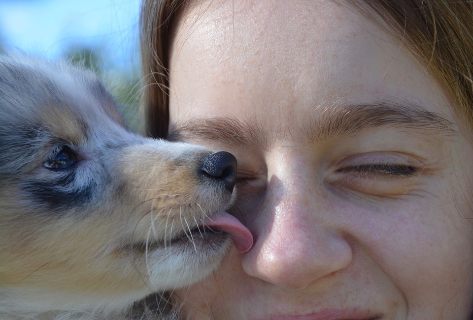 Por Que os Cachorros Gostam de Lamber os Donos