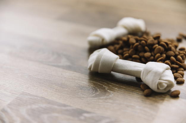 Como Fazer o Cachorro Comer Devagar 4 como fazer o cachorro comer devagar