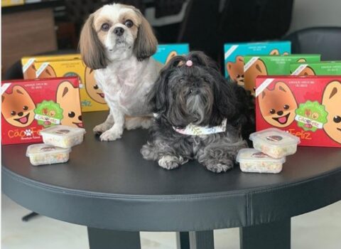 Conheça os cachorros dos jogadores de futebol