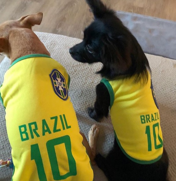 Chihuahuas Zoe e Zeca: as companhias favoritas da jogadora Marta. Foto: reprodução Instagram oficial Marta