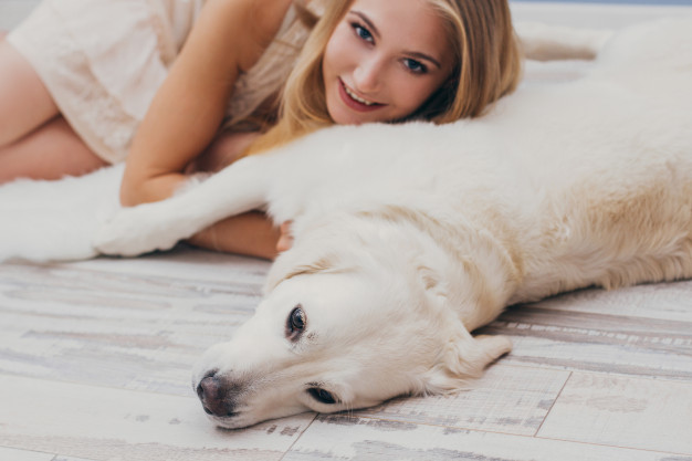 Meu cachorro sabe quando estou bêbado? 3 cachorro