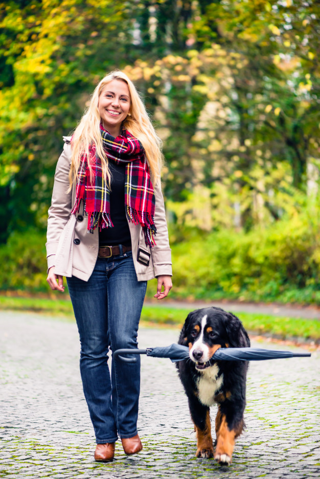 Dono de Cachorro, aprenda como conviver com um! 6 cachorro com medo de chuva