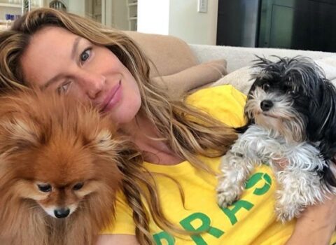 cachorros das famosas