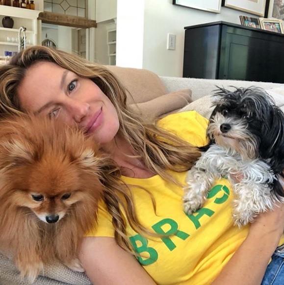 Melhores amigos: conheça os cachorros das famosas! 1 cachorros das famosas