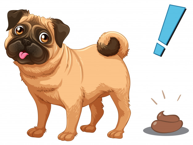 Cachorro comendo fezes - O que pode ser? 1 cachorro comendo fezes 3