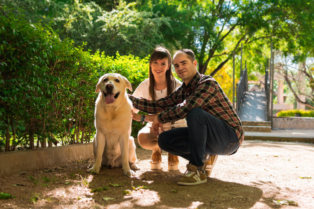 como escolher um cão