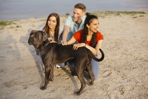 família com o cão no litoral