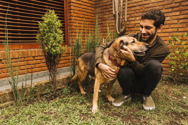 o que fazer ao encontrar um cachorro abandonado 4