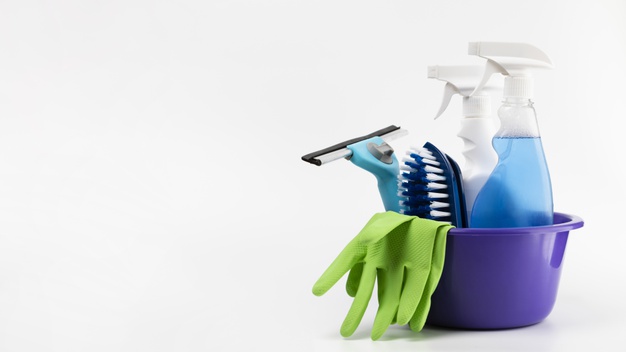 Cães curiosos - Como proteger o cão de acidentes domésticos? 5 produtos de limpeza