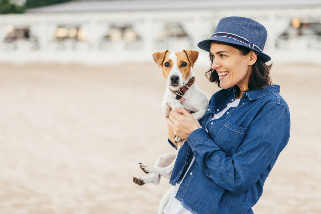 Cuidar do olho do cachorro: O que levar em consideração? 2 como cuidar dos olhos do cachorro