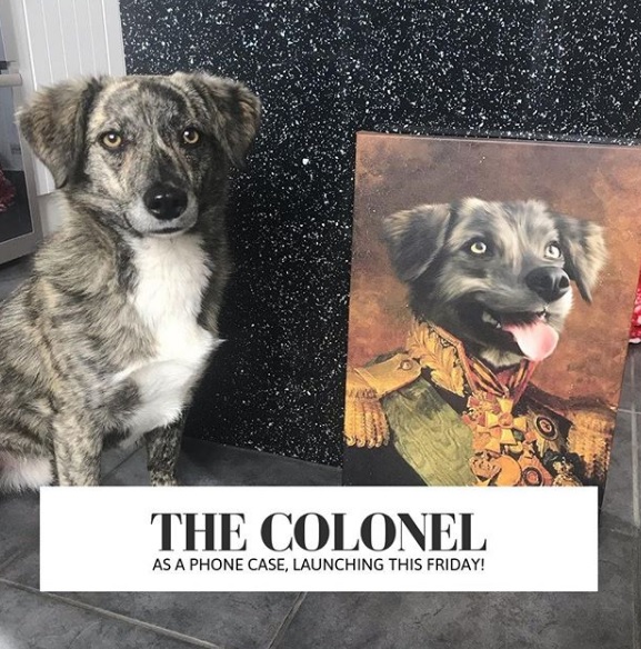 quadros de cães com trajes da realeza