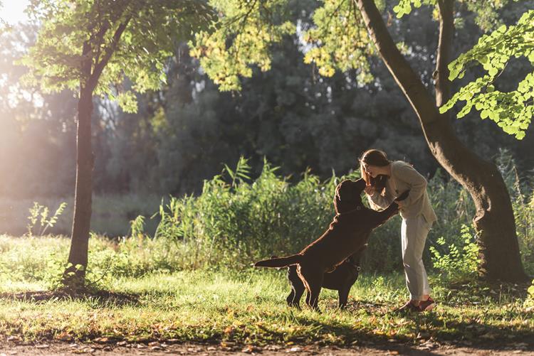 liberação de pets no Parque Botânico de Araraquara