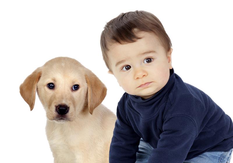 crianças querem ter pets por perto