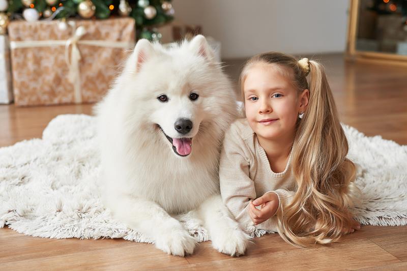 crianças querem ter pets por perto