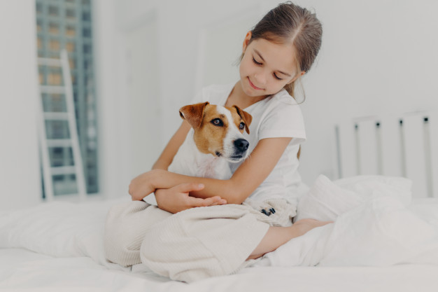 cachorro ansioso