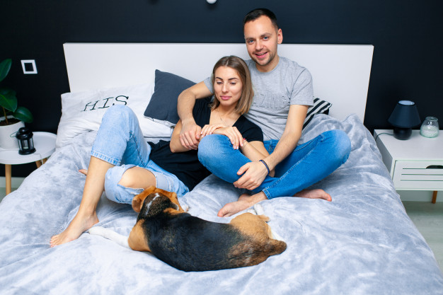 Como adaptar um cachorro ao novo lar
