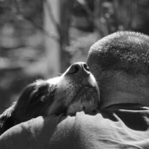 frases de amor para cachorro
