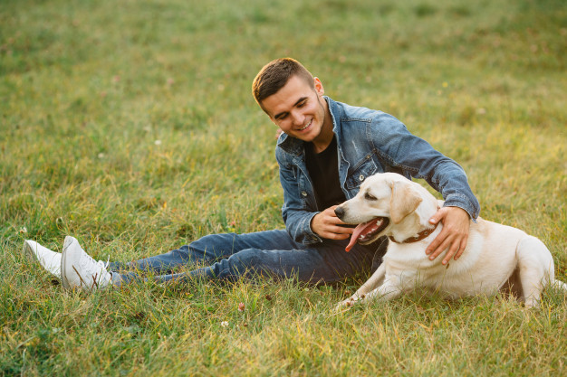 cão feliz