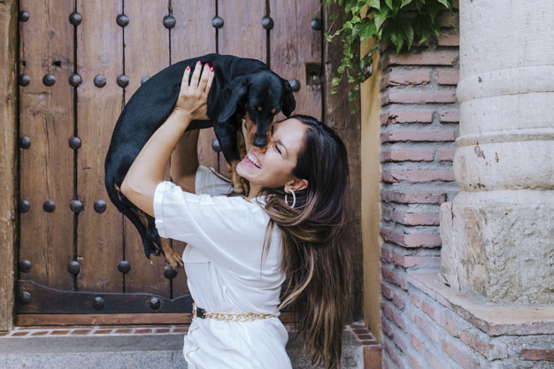 dicas de nomes para dachshund