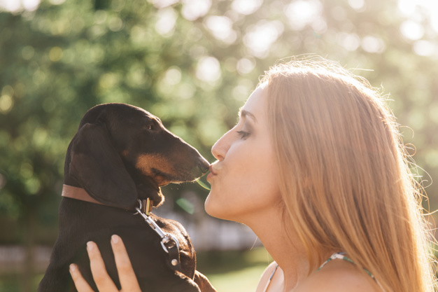 dicas de nomes para dachshund 4