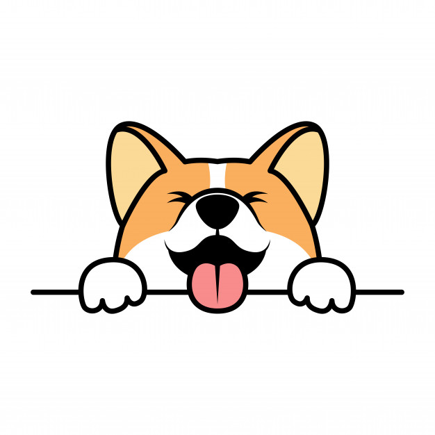 Capstar é Bom? Funciona? Quais os efeitos colaterais? 3 cachorro feliz