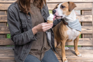 cachorro tomando sorvete - Foto: Freepik