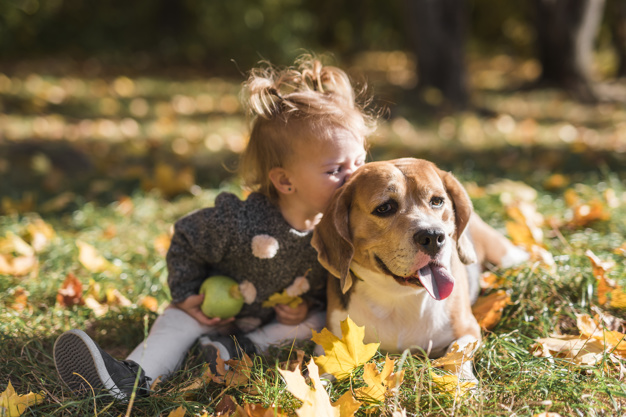 amizade verdadeira entre cães e crianças